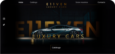 Company website preview