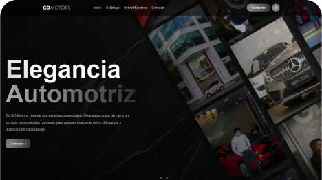 Company website preview
