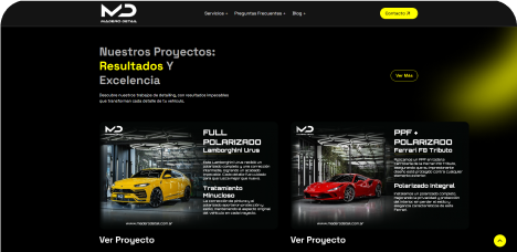 Company website preview
