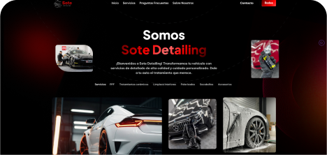 Company website preview